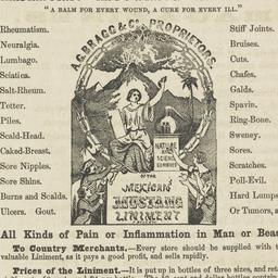 Mexican mustang liniment
