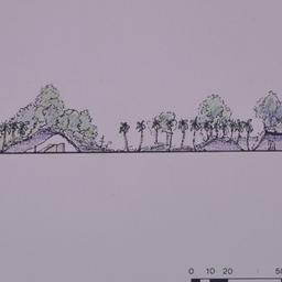North-South Section, detail.