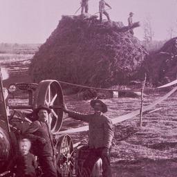 Men clearing land with stea...