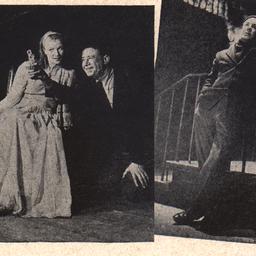The Glass Menagerie Playhou...