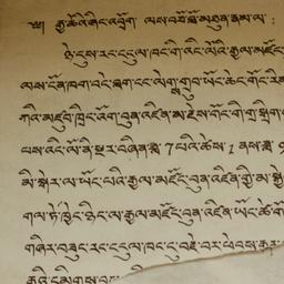 Public Notice Written in Ti...