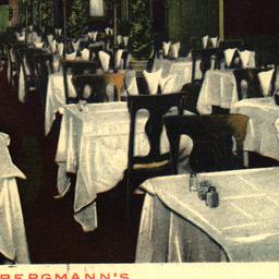 Bergmann's 45 Liberty S...