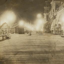 Luna Park: Coney Island Vie...