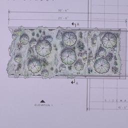 Plan.