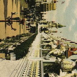 Buildings and Elevated Prom...