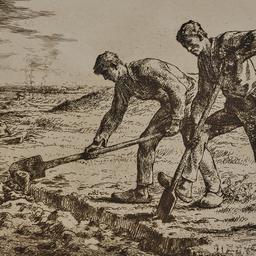 The Diggers