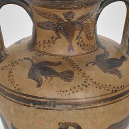 Black-Figure Amphora