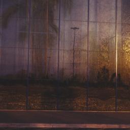 Exterior view, palm tree th...