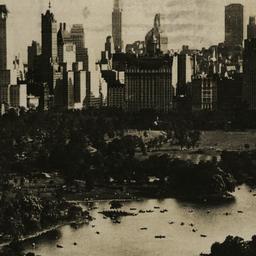 Through Central Park Lookin...