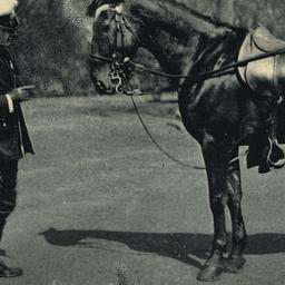 New York City Mounted Police