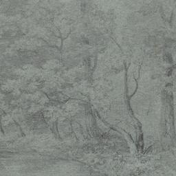 Trees and Pond