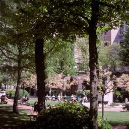 Courtyard.