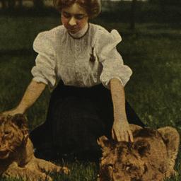 [Lion Cubs, New York Zoolog...