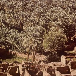 Aerial view of ruins.
