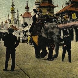 Elephant Ride in Luna Park,...