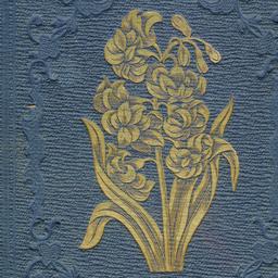 Hyacinth: Or, Affection'...