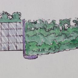 Section.
