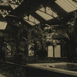 Interior: Reptile House, Ne...