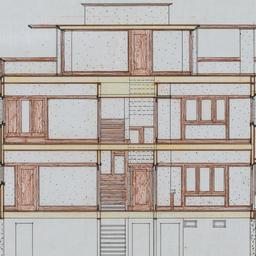 Longitudinal section