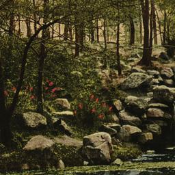 Water Falls, Bronx Park New...