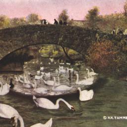 Vine Arch Bridge, Central P...