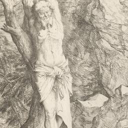 Albert, Companion to Saint ...