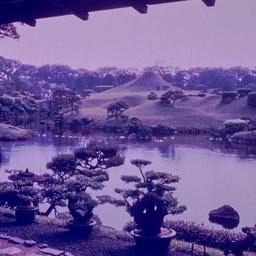 View of Japanese garden fro...
