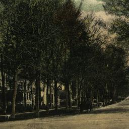 Broadway, Looking North fro...