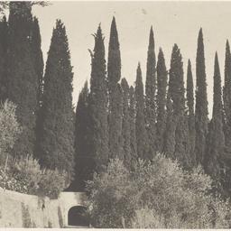 Page No. 039 - Florence, Vi...