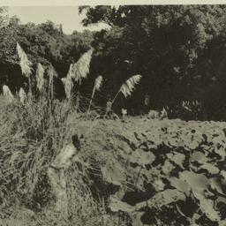Page No. 001 - Rome, Villa ...