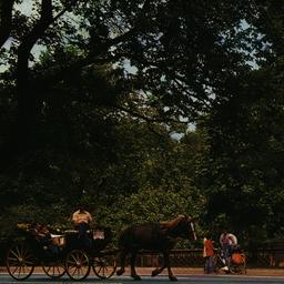 Central Park