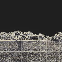 Model, detail.