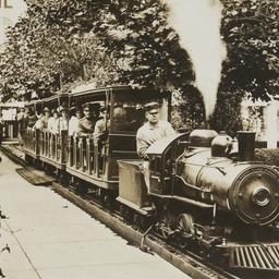Steeplechase Park: Train, S...