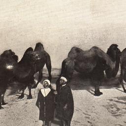 The Spirit of the Desert. S...