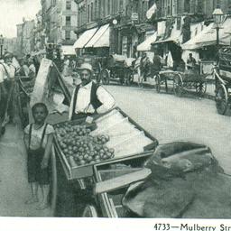 Mulberry Street, N.Y.