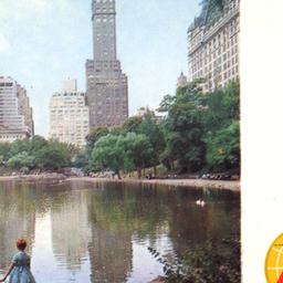 New York (USA)