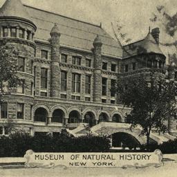 Museum of Natural History N...