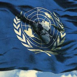 United Nations Flag