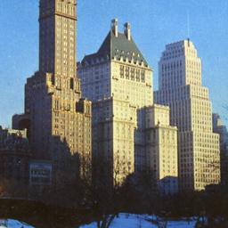 Winter in Central Park N.Y.C.