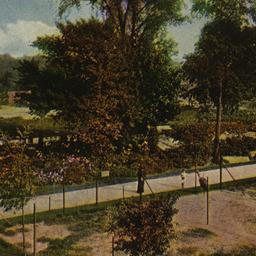View of Audubon Court. New ...