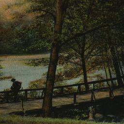 Scene in Bronx Park, N. Y
