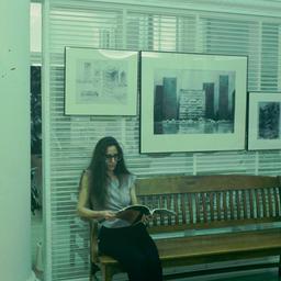 Interior view, woman readin...