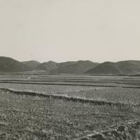 Fields in front of the moun...