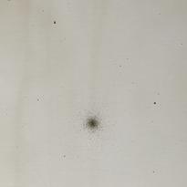 [Messier. SS216]