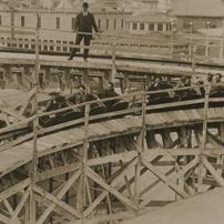 Roller Coaster, Coney Islan...