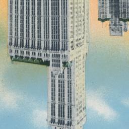 Woolworth Bldg. N.Y.