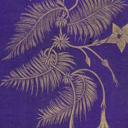 Ethna; or, Etchings in Blac...