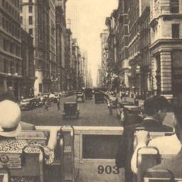 Famous Fifth Avenue
