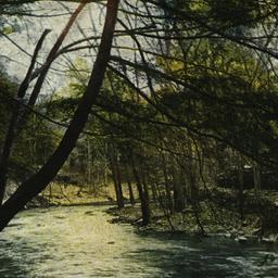 Bronx River and Park, New York