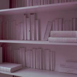 Interior view, detail of li...